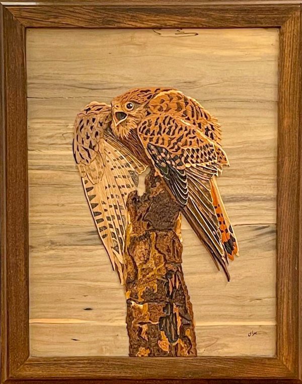 Wall Sculpture. Title: My Falcon, Carved Wood Wall reliefs sculpture by Abbas Bahrami.