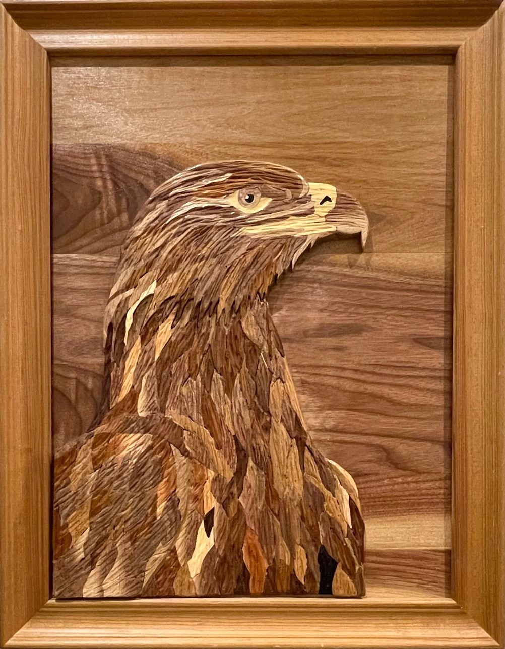 Wall Sculpture. Title: Kind Eagle, Walnut, Alder and Oakwood-16x12 inches Carved Wood Wall reliefs sculpture by Abbas Bahrami.