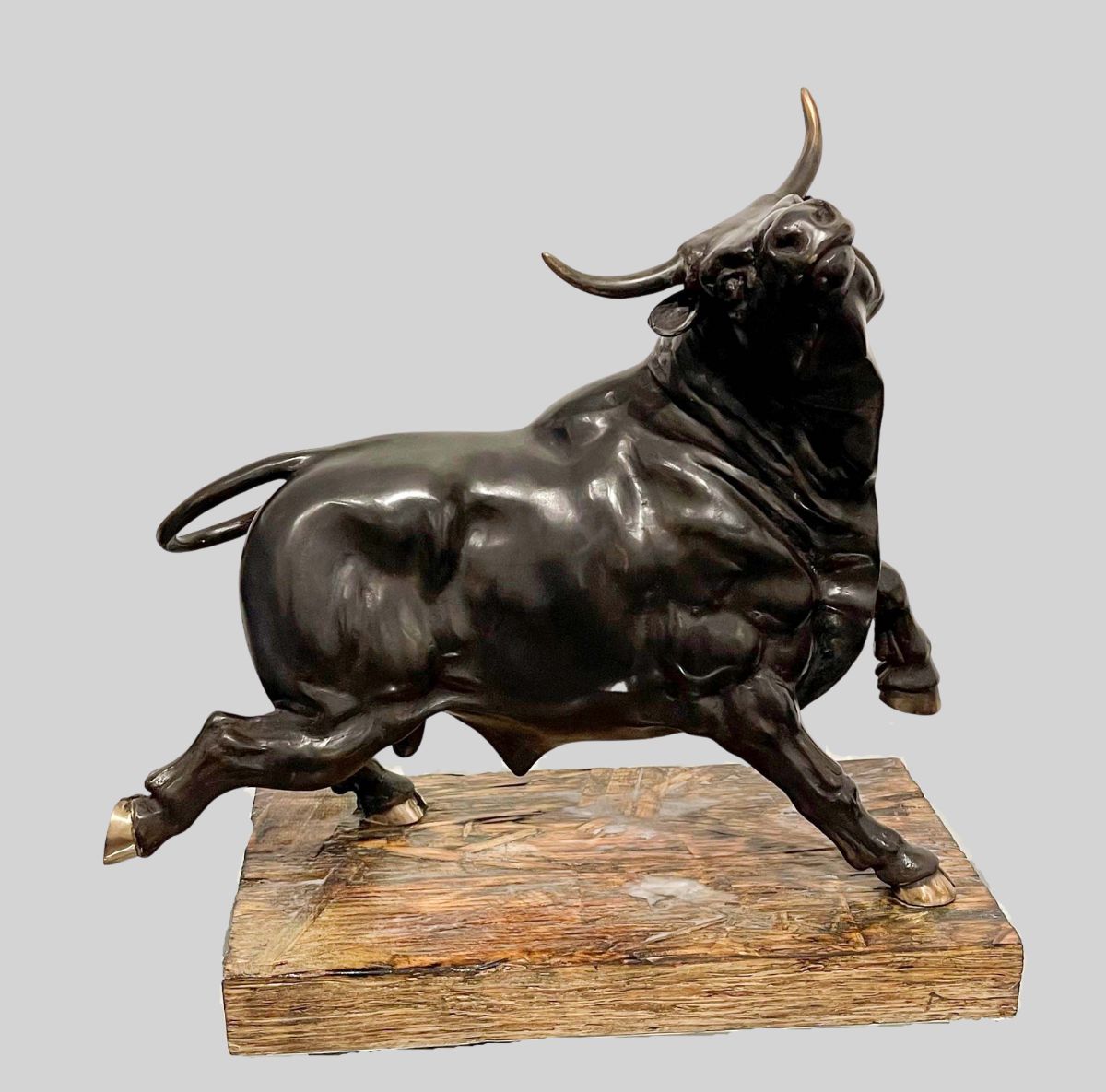 Contemporary Sculpture. Title: Running Bull, Bronze, 20x10x20 in by Contemporary Canadian artist Tariq Kakar.