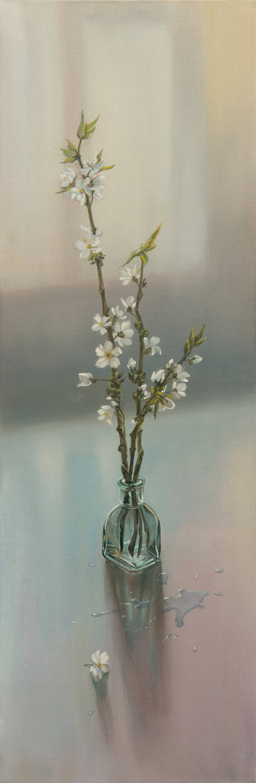 Title: Blossom Spring by Anna Petrova – 36x12 inch oil on canvas of white spring flowers in a clear glass vase, reflected on a soft pastel surface in gentle light.