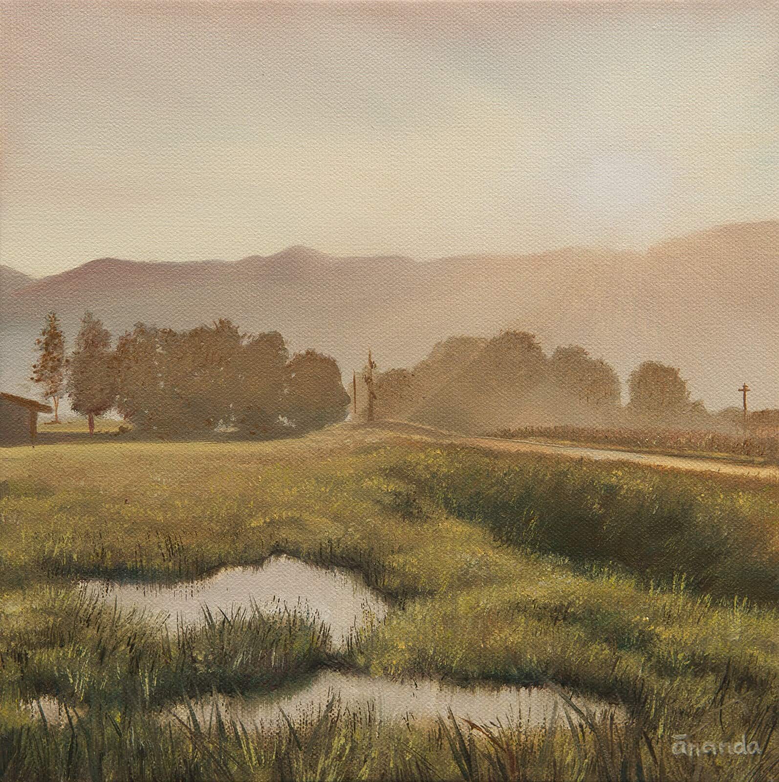 Title: Fraser Valley by Anna Petrova – 10x10 inch oil on canvas of a serene morning landscape with sunlight over grassy fields, distant trees, and soft mountain haze.