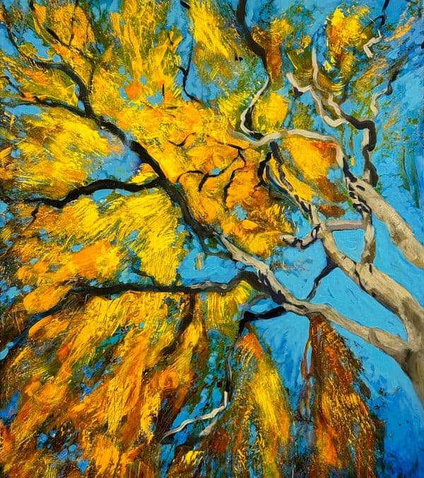 Abstract Art. Title: Bright Canopy, Acrylic on Canvas, 28x22 in by Contemporary Canadian Artist Christine Reimer.