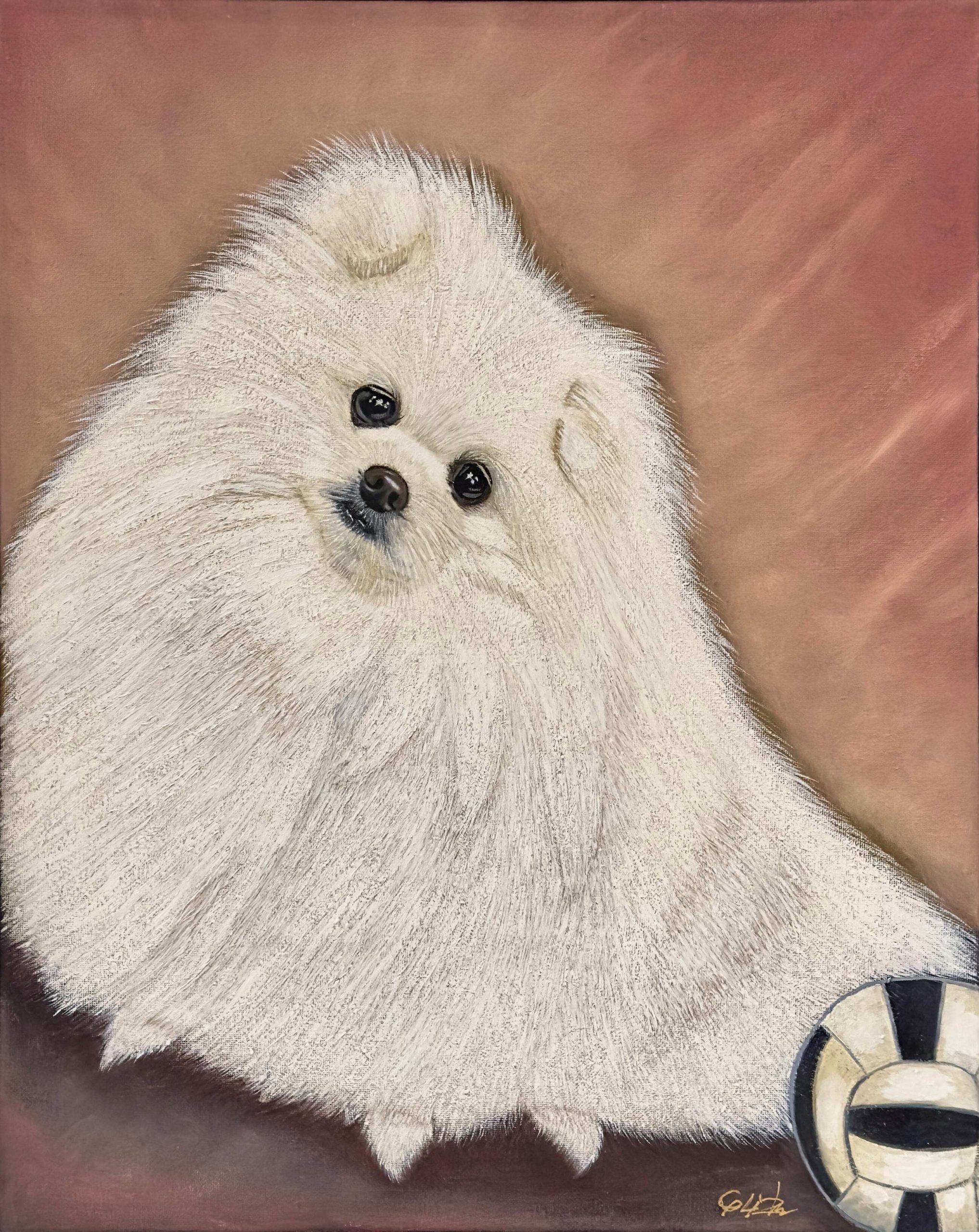 Sachi by Guan Li Zhou, oil painting of a white Pomeranian dog with expressive eyes and a tilted head against a soft warm background.